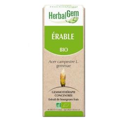 Herbalgem Erable Champetre Macerat 50ml