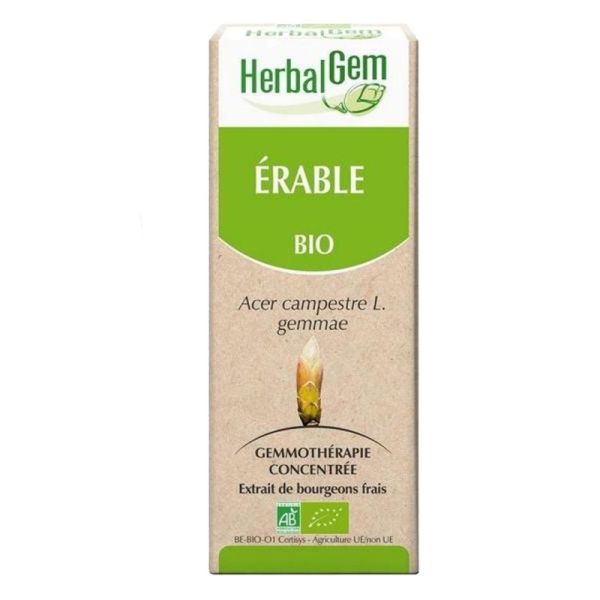 Herbalgem Erable Champetre Macerat 50ml
